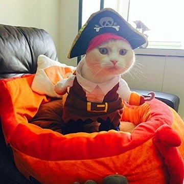 Idepet Lustige Hund Haustierbekleidung Karibische Piraten Katze Kostüm Anzug Corsair Dressing up Party Bekleidung Bekleidung für Hunde Katze Plus Hut (L) 2