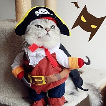 Idepet Lustige Hund Haustierbekleidung Karibische Piraten Katze Kostüm Anzug Corsair Dressing up Party Bekleidung Bekleidung für Hunde Katze Plus Hut (L) 3