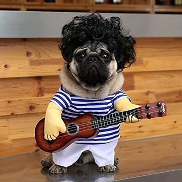 UEETEK Haustier-Kleidung Lustige Sänger-Welpen-Kostüm-Hundekatze, die Gitarre spielt Fantastisches Kostüm Halloween-Coslay-Partei-Weihnachtsgeschenk, Größe L 1